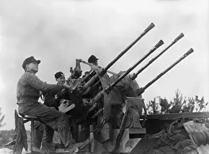 Hostile: 2cm Flakvierling of the SS Division Wiking, 1944