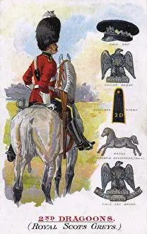 Forage: 2nd Dragoons - Royal Scots Greys - Insignia
