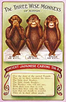 Dumb: 3 Wise Monkeys - Japanese