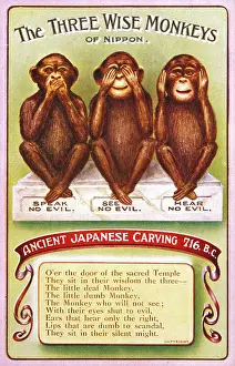 Monkeys: 3 Wise Monkeys - Japanese