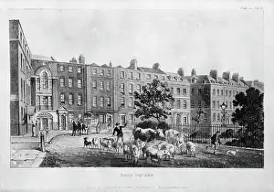Herbarium: 32 Soho Square