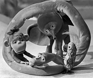 Parrots: 38 Parrots animation series, 1976
