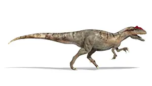 Vicious: 3D illustration of an Allosaurus dinosaur, side view