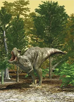Tyrannosaurus: 3D illustration of a T-rex dinosaur roaring in