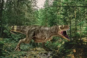 Tyrannosaurus: 3D illustration of a T-rex dinosaur roaring in