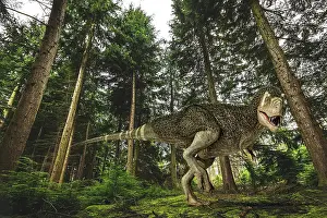 Tyrannosaurus: 3D illustration of a T-Rex with feathers hunting