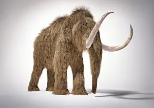 Dropped: 3D illustration of a woolly mammoth