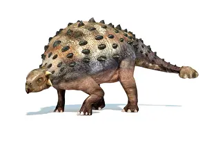 Ankylosaur: 3D rendering of an Ankylosaurus dinosaur