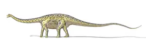 Cutaway: 3D rendering of a Diplodocus dinosaur with full skeleton ?