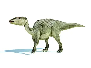 Saurolophinae: 3D rendering of an Edmontosaurus dinosaur