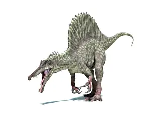 Terrible: 3D rendering of a Spinosaurus dinosaur