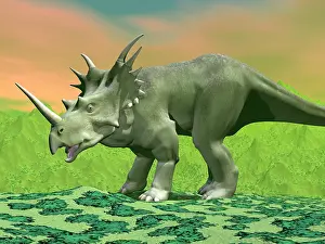 Styracosaurus: 3D rendering of a Styracosaurus dinosaur
