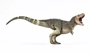 Tyrannosaurus: 3D rendering of T-rex with feathers, side view