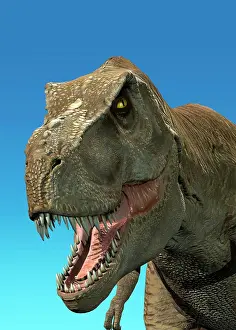 Close Up: 3D rendering of Tyrannosaurus Rex, close-up