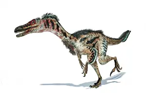 Claw: 3D rendering of a Velociraptor dinosaur with feathers