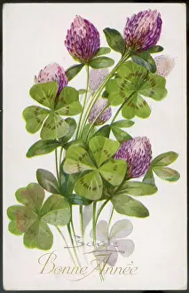 Superstition: 4-Leaf Clover - Barde