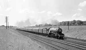 Notably: 4472 Flying Scotsman - LNER Class A3