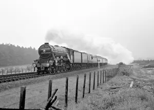 Notably: 4472 Flying Scotsman - LNER Class A3