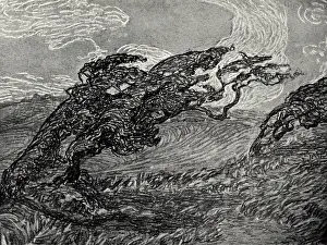 Windswept: The Down