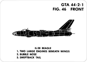 Particular: 46 IL-28 Beagle