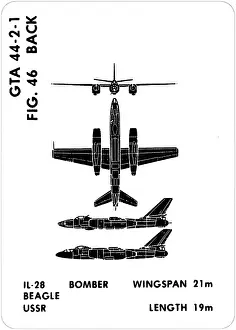 Particular: 46 a IL-28 Beagle