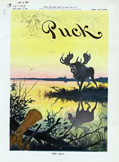 Moose: The call