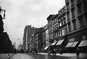 Avenues: 5th Avenue, New York