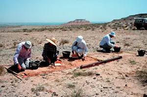 Palaeontologist: 6 million year old fossils