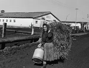 Tender: 60-year of October Sovkhoz of Grozny district