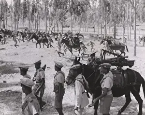 Italo Ethiopian: 65 mm guns captured from the Italians are transported