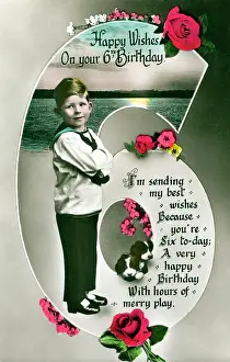 The Roseries Collection: 6th Birthday Greetings Postcard