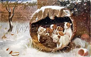 Apprehensively: 7 PUPPIES IN WINTER