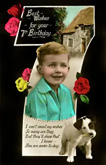 The Roseries Collection: 7th Birthday postcard