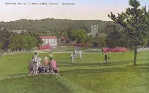 Belmont: 9th Green - Belmont Manor Golf Course, Bermuda