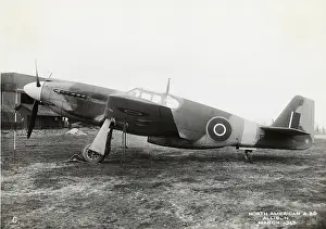 An A-36A (NA-97) Mustang trialled by the RAF