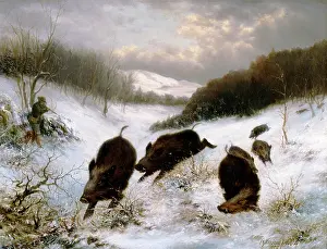 Scrofa: A. Schopfwinkel, 1876, Sauhatz