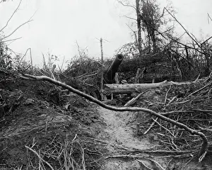 Twigs: Abandoned German howitzer, Western Front, WW1