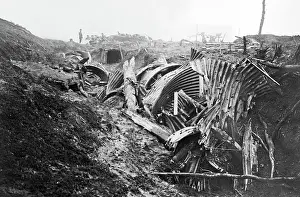 Corrugated: Abandoned German trench, Western Front, WW1