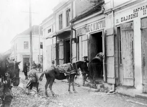 Stables: Abandoned shops in Serbia, 1915