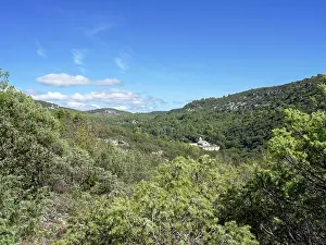 Memoire: Abbaye Notre-Dame de Senanque, Gordes, Provence, France