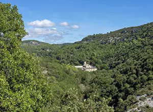 Memoire: Abbaye Notre-Dame de Senanque, Gordes, Provence, France