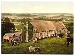 Abbotsbury: The Abbey, Abbotsbury, England