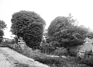 Ballyshannon: Abbey Assarde, Ballyshannon