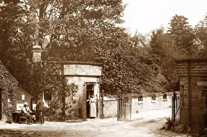 Barnard: Abbey Bridge, Barnard Castle