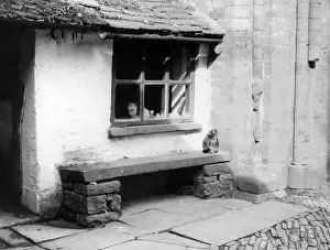 Precincts: ABBEY CATS