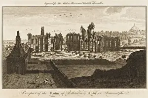 Glastonbury: The Abbey, Glastonbury