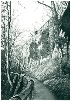 Dene: Abbey Ruins in Scotland