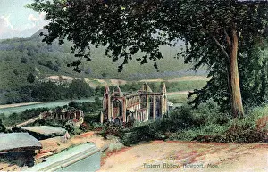 Monmouthshire: The Abbey, Tintern, Monmouthshire