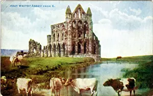The Abbey, Whitby, Yorkshire