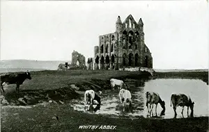 Whitby: The Abbey, Whitby, Yorkshire